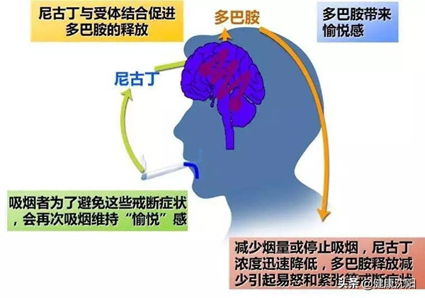 1627609707517378.jpg