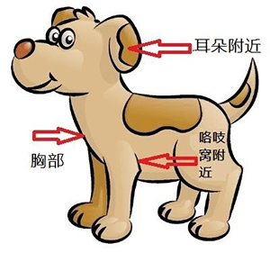 图片2.png